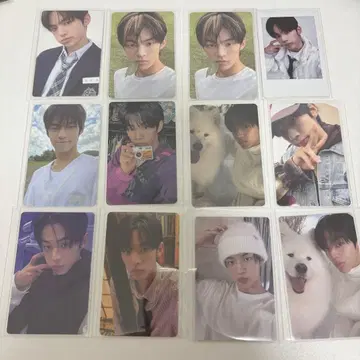 tws 도훈 트레이딩 카드 세트 묶음 판매