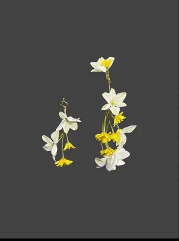 플라워 이어커프 웨딩 헤어 액세서리 결혼식