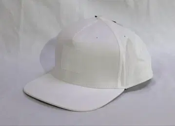 나이키 골프 DRIFIT STAYCOOL 트 트루 캡 CAP