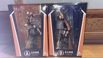 하이큐!! 히나타 쇼요 카게야마 토비오 피규어 세트