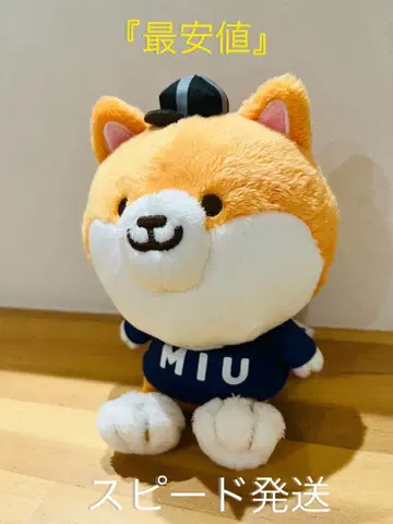 라스트마일 MIU 404 폴리마루 봉제 인형 폴리마루폴리마루