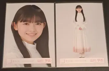 사쿠라자카 야마카와 우이 브로마이드 Nobody's fault