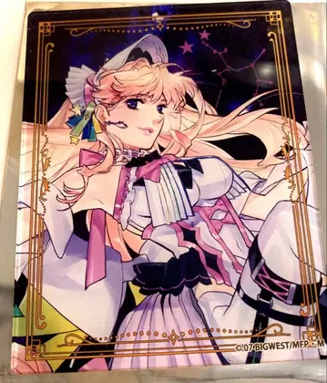 셰릴 아크릴 카드 마크로스 저니 A3 마크로스F 마크로스