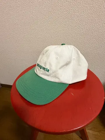 patagonia 캡 화이트/그린