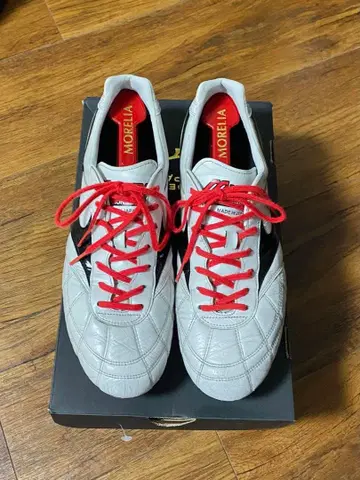 미즈노 모렐리아 2 JAPAN