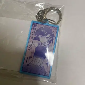 메달리스트전 랜덤 아크릴 키링 오카자키 이루카 이루카 아크릴 키링