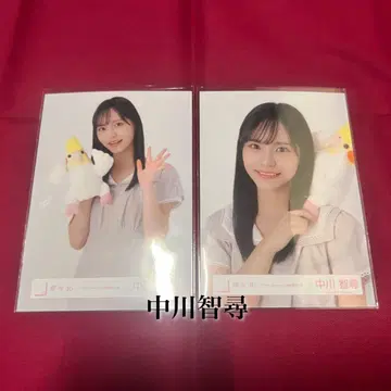 사쿠라자카46 4기생 나카가와 치히로 브로마이드