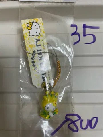 지역 한정 키티 스트랩 6개