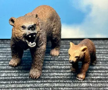 슐라이히 곰 2종