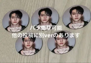 stray kids 방찬 your hero 캔뱃지