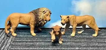 슐라이히 라이온 부자 3종