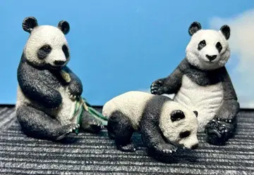 슐라이히 팬더 3종