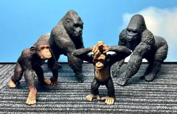 슐라이히 고릴라 침팬지 4종