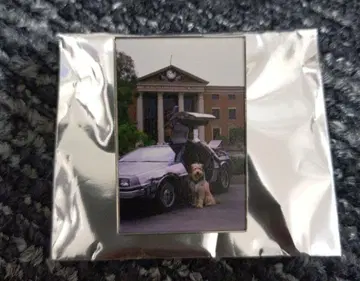 백투더퓨처 핀 배지 핀즈 돈키호테 한정판