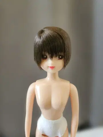 리카짱 캐슬 오타노시미 인형/리본짱 본체만 (이염 있음)