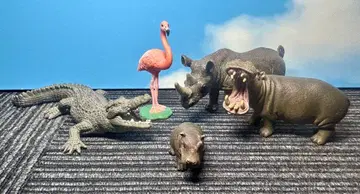 슐라이히 물가 동물 5종