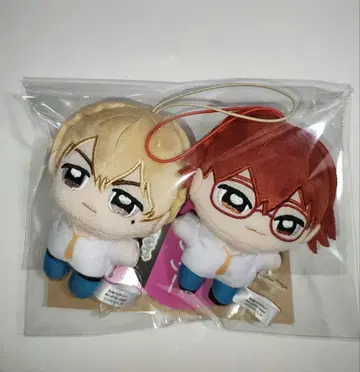 망각 배터리 누이프리케 mini 2개