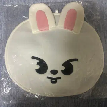 리노 stray kids 스키즈 리비트 부채 케이스