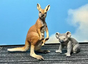 슐라이히 호주 동물 2종