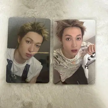 cortis 마틴 weverse 유니버셜 럭키 드로우