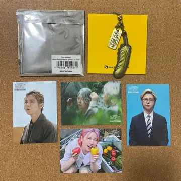 Mrs. GREEN APPLE 바벨 후지사와 료카 깃털 키링 포토 카드