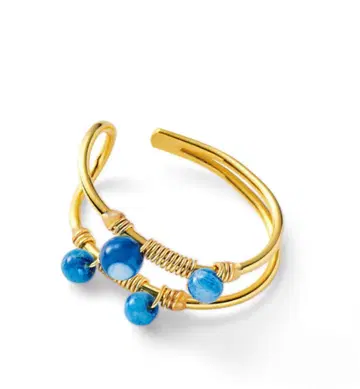 도쿠시마 아와 아이의 이어커프