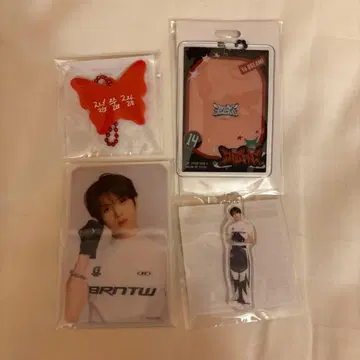 NCTDREAM 랜덤 토이 지성