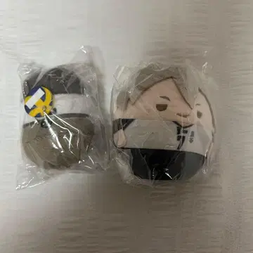 하이큐 후와코로링 모찌모찌 마스코트 코노하 아키노리