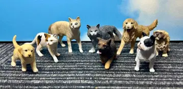 슐라이히 개 고양이 8종