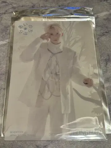 seventeen 아이노치카라 정한