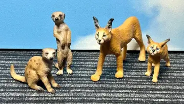 슐라이히 미어캣 피넥 4종