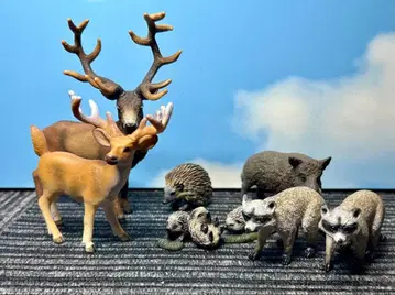 슐라이히 루돌프 아라이 너구리 고슴도치 멧돼지 8종