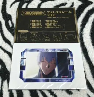 BLEACH No.010 이치마루 긴 사진 프레임 쿠보 타이토