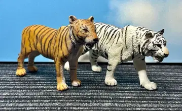 슐라이히 타이거 화이트 타이거 2종