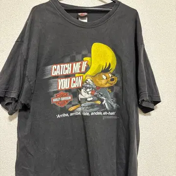 Harley-Davidson 티셔츠 XL 태즈 로드러너