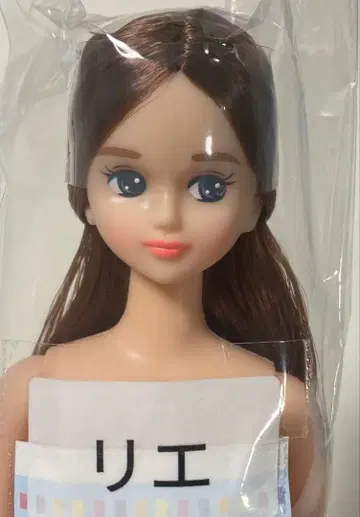 리카짱 캐슬 27BD 즐거운 인형 제니 프렌드 리에