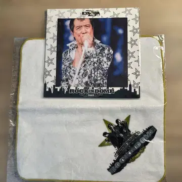 야자와 에이요시 2015 도쿄 돔