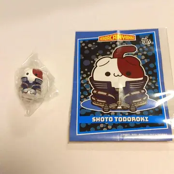 히로아카 메가캣 토도로키 쇼토