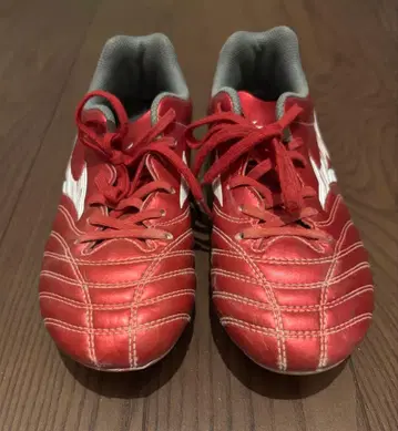 Mizuno MONARCIDA neo 22.5cm