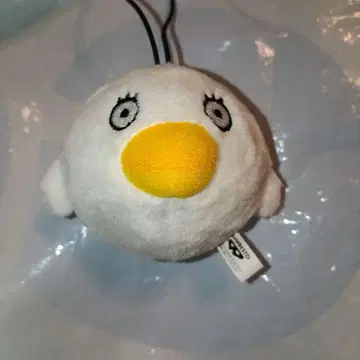 3학년 Z반 긴파치 선생님 폼폼 인형 엘리자베스