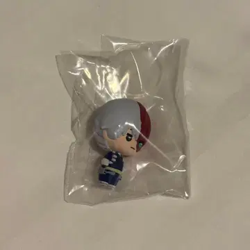 히로아카 토도로키 쇼토