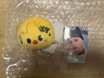 skzoo 포가리 네임택 필릭스 공식 트레이딩 카드