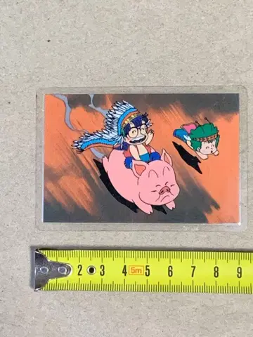 Dr. 슬럼프 아라레짱 라미네이티드 카드 갓짱 DC624