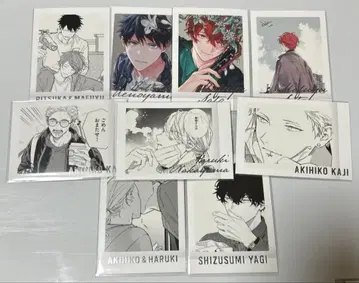 가격 인하! 유익한 세트!! 기븐 기븐전 파샤코레 프리미엄