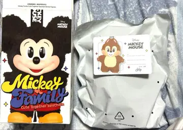 정품 팝마트 미키 패밀리 디즈니 칩