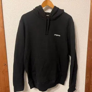 파타고니아 후드티