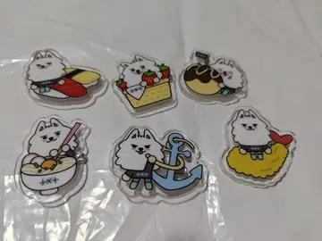 욘몬 지역 특색 배지 세트