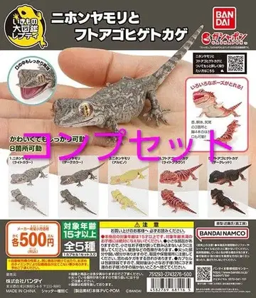 생물대도감 일본 도마뱀과 비어디드래곤 전 5종 컴프 세트