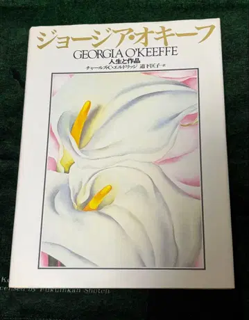 조지아 오키프: 인생과 작품