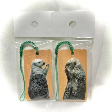 도바 수족관 랏코 키라 메이 나무패 스트랩